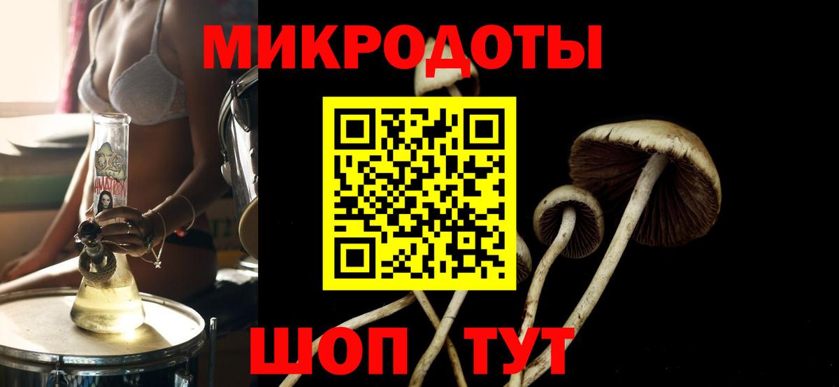 Жигулёвск  Галлюциногенные грибы прущие грибы  Вход с VPN 